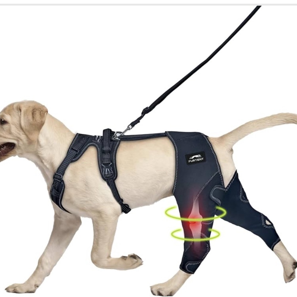 NWT Furtent Dog Knee Brace with Cruciate Ligament Injuries